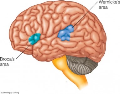 The REAL story to how storytelling affects the brain